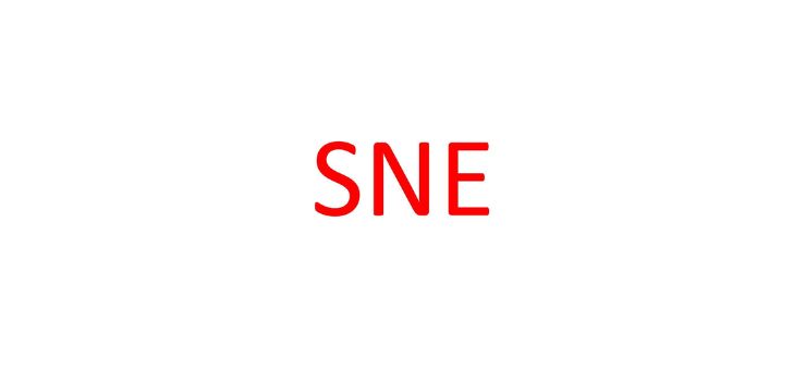 SNE Limited Partnership